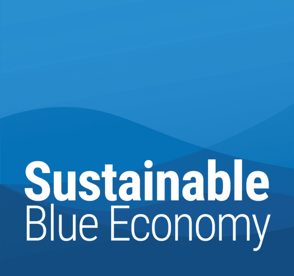Blue economy logo