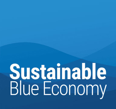 Blue economy logo